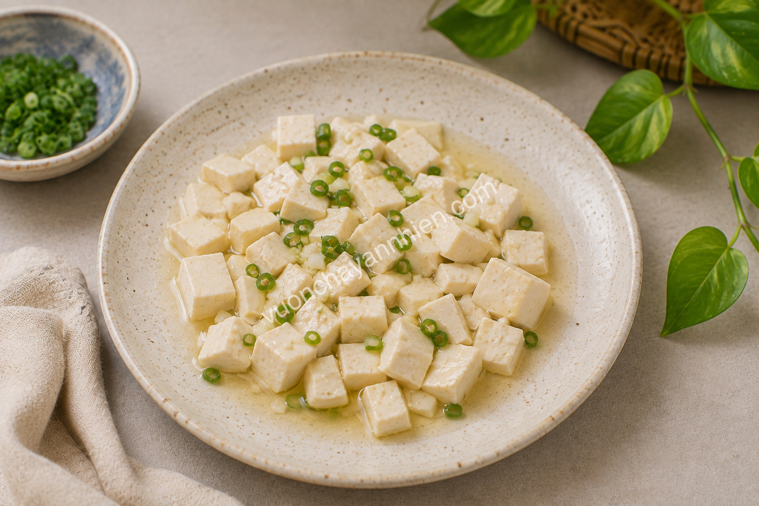 Đậu Hũ Sốt Mỡ Hành Chay